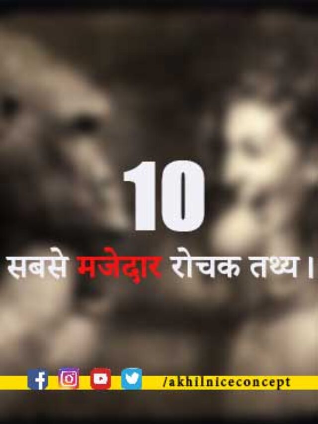 10 सबसे मजेदार रोचक तथ्य।